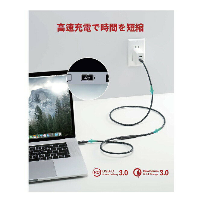 【2本セット】 iVANKY VBD41 50cm 4K/60Hz USB-C Male to USB-C Female USB Type-C 延長 ケーブル USB 3.1 Gen 2 10Gbps 高速データ転送 3A急速充電 typec タイプc 変換 送料無料