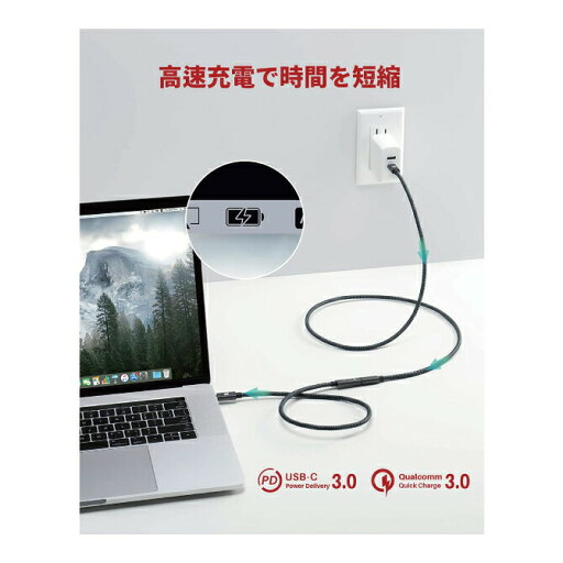【2本セット】 iVANKY VBD41 50cm 4K/60Hz USB-C Male to USB-C Female USB Type-C 延長 ケーブル USB 3.1 Gen 2 10Gbps 高速データ転送 3A急速充電 typec タイプc 変換 送料無料
