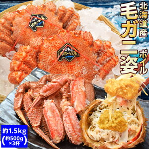毛ガニ 姿 ボイル 3尾 約1．5kg（約500g×3杯） 北海道 ブランドタグ付 毛蟹 毛がに 冷凍 送料無料 蟹 かにみそ 海鮮