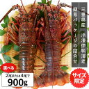 伊勢海老 三重県産 900g サイズ限定特別価格 送料無料 ...