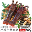 伊勢海老 三重県伊勢志摩産 中サイズ2尾で約600g 送料無料 刺身用瞬間冷凍 伊勢エビ 訳あり イセエビ 母の日 ギフト