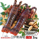 伊勢海老 三重県伊勢志摩産 1〜7尾で約1kg 送料無料 刺身用瞬間冷凍 伊勢エビ 訳あり イセエビ あす楽対応 お年賀 ギフト