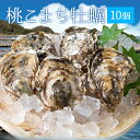 牡蠣 桃こまち 10個 殻付き牡蠣 （牡蠣ナイフ・片手用...