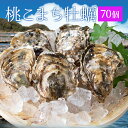 牡蠣 桃こまち 70個 殻付き牡蠣 (牡蠣ナイフ・片手用軍手付き)発泡箱入 三重県鳥羽産(加熱用) 母の日 ギフト