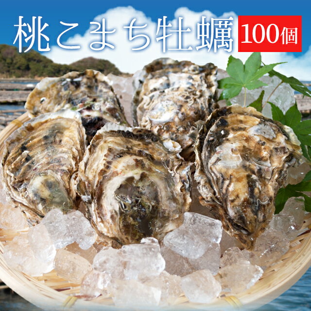 牡蠣 桃こまち 100個 殻付き牡蠣 （牡蠣ナイフ・片手用...