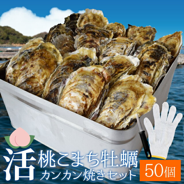 桃こまち 牡蠣 カンカン焼き 50個 ミニ缶入 （牡蠣ナイフ・片手用軍手付）三重県 鳥羽の離島 希少 牡蛎 殻付き牡蠣 …