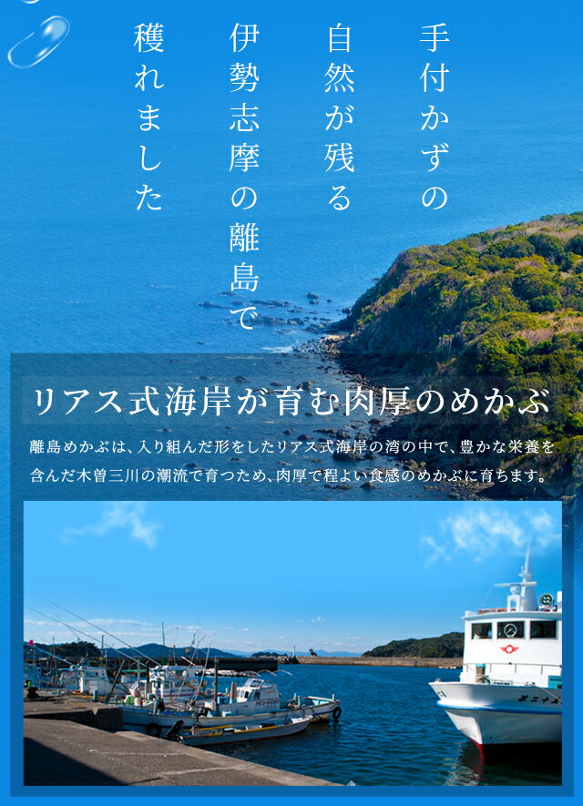 めかぶ 離島のきざみめかぶ 70g×18パック 伊勢志摩の離島で水揚げされためかぶ 送料無料 メカブ 海藻 湯通し済み 瞬間冷凍