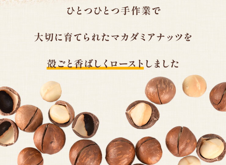 �ޥ����ߥ��ʥå� ���դ� 500g �ǾƤ� ���ѥ����ץʡ��� ������ �������� �ޥ��ǥߥ��ʥå�