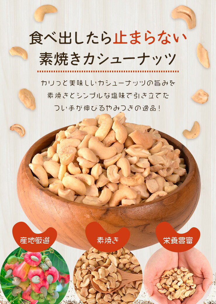 カシューナッツ 割れ 素焼き 有塩 500g 塩味 大容量 ロースト 焙煎