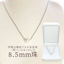 真珠 ネックレス 伊勢志摩産 アコヤ真珠 8.5mm珠 一粒 パールネックレス 送料無料 ランキング 通販 あこや真珠 母の日 ギフト