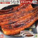 うなぎ 伊勢志摩産 たれ 大サイズ 3尾 たれ付 送料無料 国産 ウナギ 鰻 蒲焼き 丑の日 個包装 冷凍 化粧箱入 お中元 ギフト