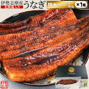 うなぎ 伊勢志摩産 たれ 特大サイズ 1尾 たれ付 送料無料 国産 ウナギ 鰻 蒲焼き 丑の日 個包装 冷凍 化粧箱入 お中元 ギフト