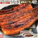 うなぎ 伊勢志摩産 たれ 超特大サイズ 3尾 たれ付 送料無料 国産 ウナギ 鰻 蒲焼き 丑の日 個包装 冷凍 化粧箱入 母の日 ギフト