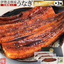 うなぎ 伊勢志摩産 たれ 特大サイズ 3尾 たれ付 送料無料 国産 ウナギ 鰻 蒲焼き 丑の日 個包装 冷凍 化粧箱入 母の日 ギフト