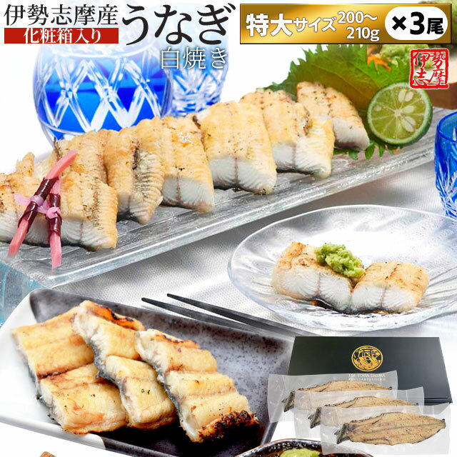 うなぎ 伊勢志摩産 白焼き 特大サイズ 3尾 送料無料 国産 ウナギ 鰻 蒲焼き 丑の日 個包装 冷凍 化粧箱入 父の日 ギフト