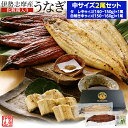うなぎ セット 伊勢志摩産 中サイズ2尾(たれ1尾 白焼き1尾) たれ付 送料無料 国産 ウナギ 鰻 蒲焼き 丑の日 個包装 冷凍 化粧箱入 お中元 ギフト
