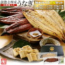 うなぎ セット 伊勢志摩産 特大サイズ2尾(たれ1尾 白焼き1尾) たれ付 送料無料 国産 ウナギ 鰻 蒲焼き 丑の日 個包装 冷凍 化粧箱入 母の日 ギフト