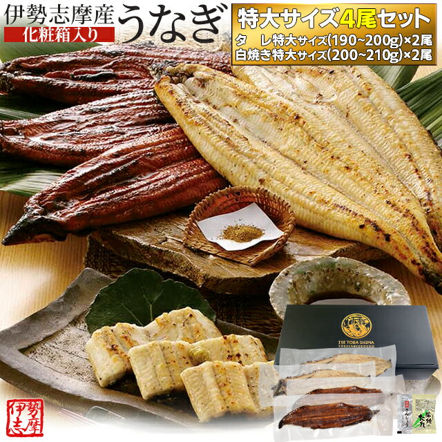うなぎ セット 伊勢志摩産 特大サイズ4尾（たれ2尾 白焼き2尾） たれ付 送料無料 国産 ウナギ 鰻 蒲焼き 丑の日 個包装 冷凍 化粧箱入 父の日 ギフト