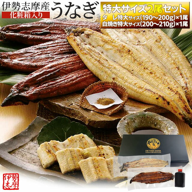 白焼き うなぎ セット 伊勢志摩産 特大サイズ2尾（たれ1尾 白焼き1尾） たれ付 送料無料 国産 ウナギ 鰻 蒲焼き 丑の日 個包装 冷凍 化粧箱入 父の日 ギフト