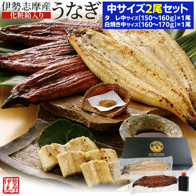 蒲焼き うなぎ セット 伊勢志摩産 中サイズ2尾（たれ1尾 白焼き1尾） たれ付 送料無料 国産 ウナギ 鰻 蒲焼き 丑の日 個包装 冷凍 化粧箱入 父の日 ギフト