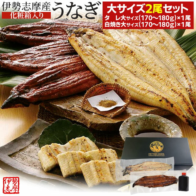 うなぎ セット 伊勢志摩産 大サイズ2尾（たれ1尾 白焼き1尾） たれ付 送料無料 国産 ウナギ 鰻 蒲焼き 丑の日 個包装 冷凍 化粧箱入 父の日 ギフト