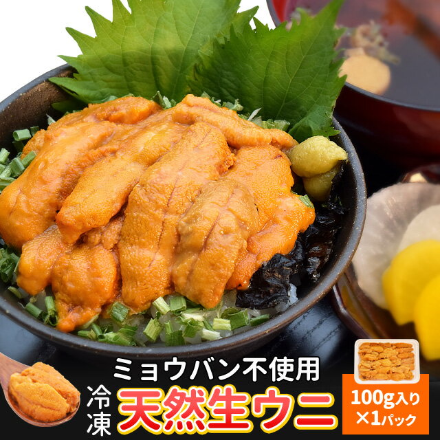 うに 100g×1 冷凍 ウニ 刺身 雲丹 無添加 最上級グレード チリ産 海鮮丼