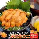 うに 100g×2 冷凍 ウニ 刺身 雲丹 無添加 最上級グレード チリ産 海鮮丼