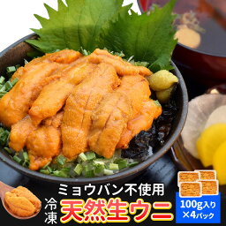 うに 100g×4 冷凍 ウニ 刺身 雲丹 無添加 最上級グレード チリ産 海鮮丼