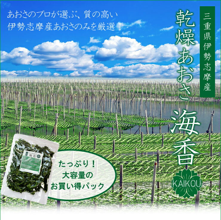 伊勢志摩産あおさのり600g（200g×3袋） 送料無料 海藻 アオサ 海苔 三重県産 チャック付袋入 2