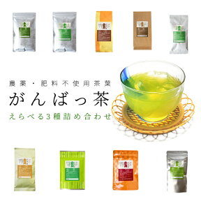 日本茶 伊勢茶 お茶 選べる 茶葉 3袋詰合せ 農薬肥料不使用栽培 無農薬 無肥料 水出し緑茶 がんばっ茶