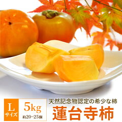 https://thumbnail.image.rakuten.co.jp/@0_mall/isesimatokusan/cabinet/category/rendaiji/renkaki5kg22.jpg