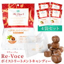 のど飴 ボイストリートメントキャンディ リヴォーチェ 70g×4個 メール便送料無料 MYBM ボイスケア アナウンサー シンガー プロ愛用ののどあめ