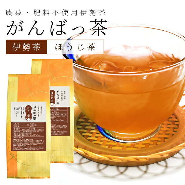 伊勢茶 ほうじ茶200g（100g×2個） お