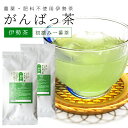 伊勢茶 初摘一番煎茶140g(70g×2個) お茶 無農薬 日本茶 三重県産 農薬・肥料不使用栽培
