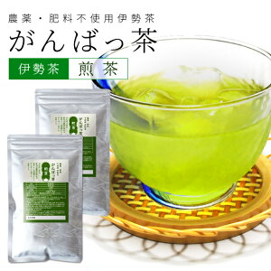 伊勢茶 煎茶200g（100g×2個） お茶 無農薬 日本茶 三重県産 農薬・肥料不使用栽培
