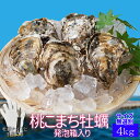 桃こまち 牡蠣 サイズ無選別4kg(45個前後入) 伊勢志摩...