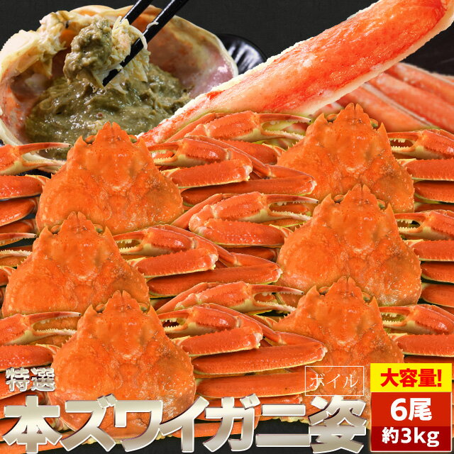 かに ずわいがに ボイル 姿 6尾で3kg前後(500g前後×6ハイ) かにみそ 年末年始 送料無料 本ズワイガニ 蟹