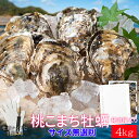 桃こまち 牡蠣 サイズ無選別4kg（60個前後入り) 伊勢志摩の離島で獲れる希少 殻付き 牡蛎 発泡箱入 加熱用 送料無料…