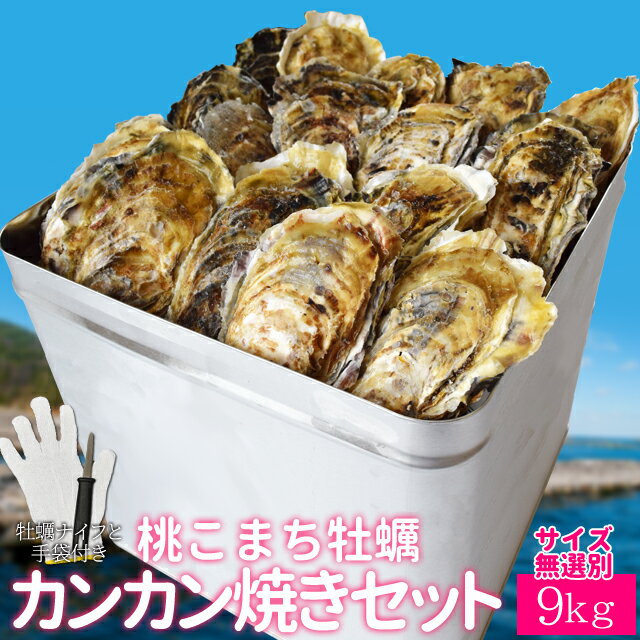 牡蠣 カンカン焼きセット 桃こまち サイズ無選別9kg（100個前後入） 一斗缶入り 送料無料 加熱用（牡蛎ナイフ・片手用軍手付き）三重県鳥羽の離島の希少 殻付き牡蠣 海鮮バーベキュー セット