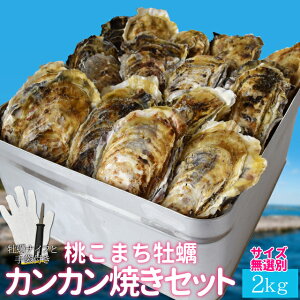 牡蠣 カンカン焼きセット 桃こまち サイズ無選別2kg（約25〜30個入） ミニ缶入り 送料無料 加熱用（牡蛎ナイフ・片手用軍手付き）三重県鳥羽の離島の希少 殻付き牡蠣 海鮮バーベキュー セット