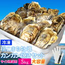 牡蠣 カンカン焼き セット サイズ無選別 5kg(60個前後入) 冷凍牡蠣 送料無料 桃こまち 鳥羽産 中缶入(牡蠣ナイフ・片手用軍手付き)殻付き牡蠣 一斗缶 海鮮バーベキューセット 旬凍桃こまち