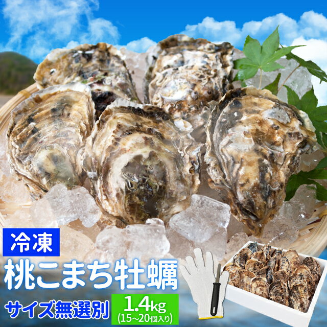 牡蠣 サイズ無選別 1.4kg(15~20個入り) 冷凍牡蠣 送料無料 桃こまち 鳥羽産(発泡箱入・牡蠣ナイフ・片手用軍手付き)殻付き牡蠣 海鮮バーベキューセット 旬凍桃こまち