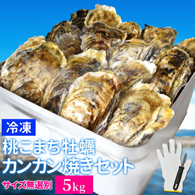 牡蠣 カンカン焼き セット サイズ無選別 5kg（60個前後入） 冷凍牡蠣 送料無料 桃こまち 鳥羽産 中缶入（牡蠣ナイフ・片手用軍手付き）殻付き牡蠣 一斗缶 海鮮バーベキューセット 残暑見舞い ギフト 旬凍桃こまち