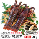 三重県産 伊勢海老詰合せ 5尾~11尾で約2kg 送料無料 刺身用瞬間冷凍 伊勢エビ 尾数選べます p2 父の日 ギフト(4)