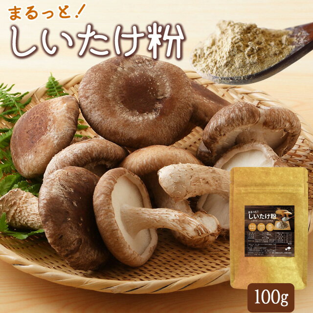 しいたけパウダー 粉末 100g 万能だし 粉 三重県産 農薬不使用栽培 椎茸100％使用 国産 チャック付袋入