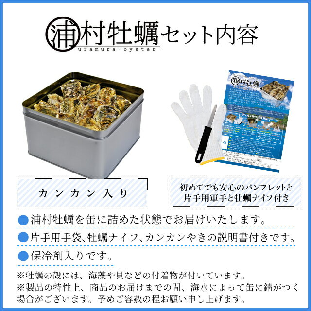 牡蠣 殻付き カンカン焼きセット35個入（4kg前後） ミニ缶入 送料無料 鳥羽浦村産（牡蛎ナイフ・片手用軍手付）カキ かき 1斗缶