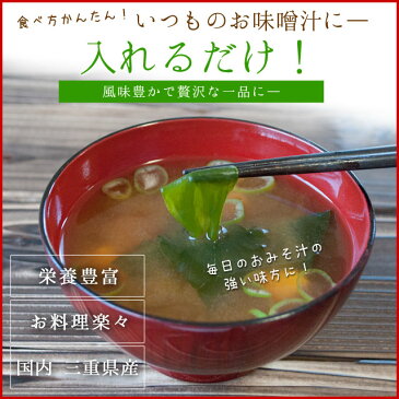 【クーポンで50円OFF】カットわかめ100g メール便送料無料 三重県伊勢志摩産 乾燥ワカメ 国産 チャック付袋入り 無添加