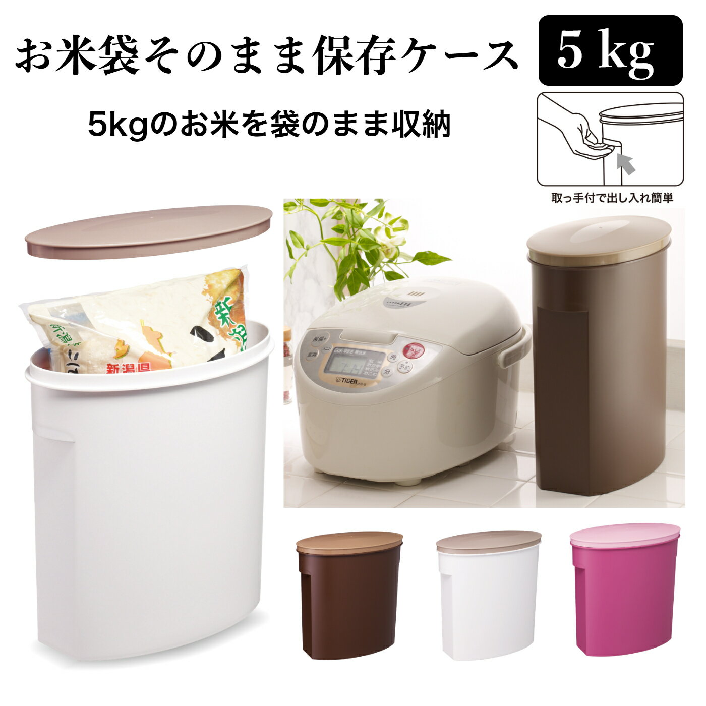 ƣISETO) Ӥ ޤΤޤ¸ 5kg ѥ ʴ ѥʴ ƤӤ ̵б ̥å Τޤ¸ ...