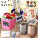ソープフラワー ポット 鉢 花 ソープフラワーギフト セット 紅茶 フラワーアレンジメント 誕生日プレゼント ギフト ギフトセット 女性 バラ お祝い 退職 退...