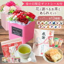 母の日 母の日ギフト 花 花ギフト ポット フラワーポット 誕生日 プレゼント 誕生日プレゼント 記念日 お祝い 退職 結婚 ギフト バラ カーネーション お茶...